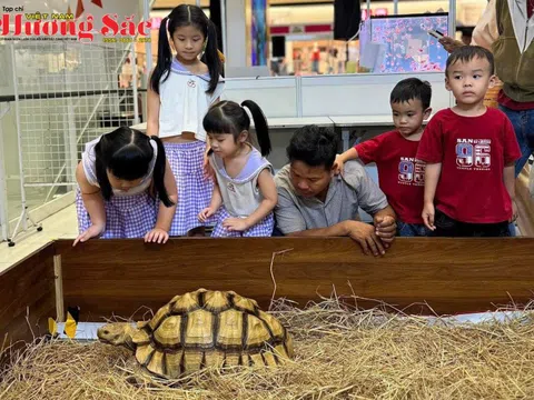 Tuần lễ sinh vật cảnh An Lạc 2026: Điểm hẹn của đam mê và nghệ thuật sống
