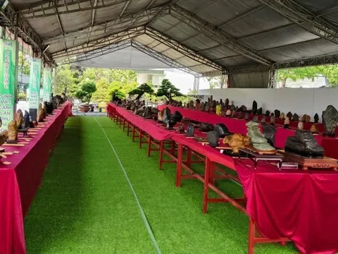 Hội thi Đá cảnh Nguyên bản – Suiseki tại Festival Sinh vật cảnh & Cây xanh Di sản lần III