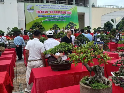 Phát triển hoa, cây cảnh: Hướng đi chiến lược của nông nghiệp sinh thái Quảng Ninh