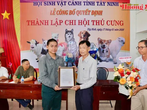 Nguyễn Hồng Vũ: Tiên phong kết nối cộng đồng và nâng tầm ngành thú cưng