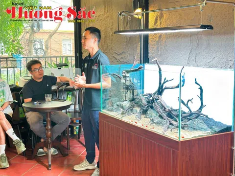 Trần Đăng Minh: Thủy sinh cảnh - sứ mệnh nâng tầm nghệ thuật "nước tĩnh vật động"