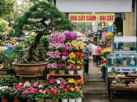 Sinh vật cảnh là ngành kinh tế sinh thái mũi nhọn: Sứ mệnh xác tín và đòn bẩy truyền thông của báo chí chính thống