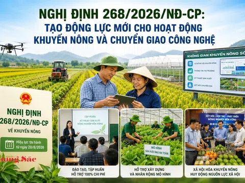 Nghị định 268/2026/NĐ-CP: Tạo động lực mới cho hoạt động khuyến nông và chuyển giao công nghệ