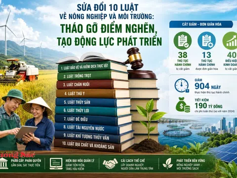 Sửa đổi 10 luật về nông nghiệp và môi trường: Tháo gỡ điểm nghẽn, tạo động lực phát triển