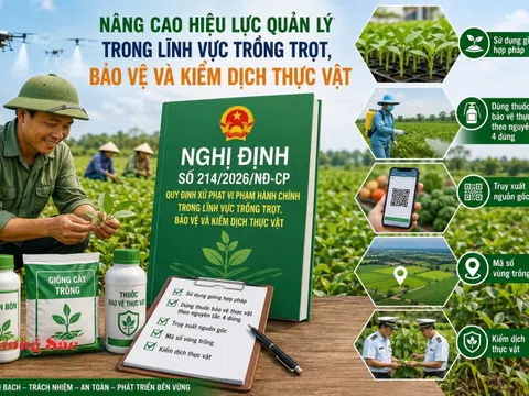 Kỳ 2: Cục Trồng trọt và Bảo vệ thực vật thông tin về Nghị định 214/2026/NĐ-CP