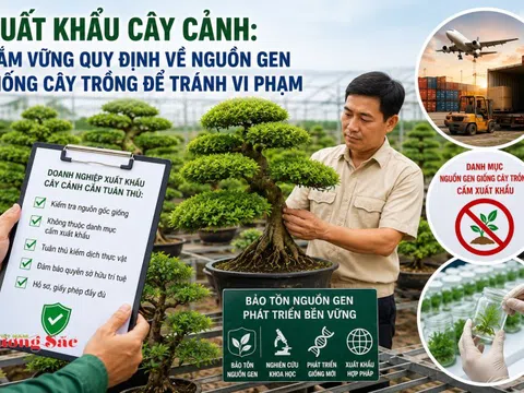 Bài 2 - Xuất khẩu cây cảnh: Nắm vững quy định về nguồn gen giống cây trồng để tránh vi phạm