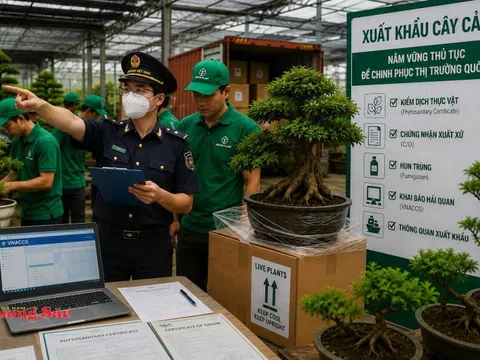 Bài 1 - Xuất khẩu cây cảnh: Nắm vững thủ tục để chinh phục thị trường quốc tế