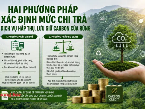 Hai phương pháp xác định mức chi trả dịch vụ hấp thụ, lưu giữ carbon của rừng