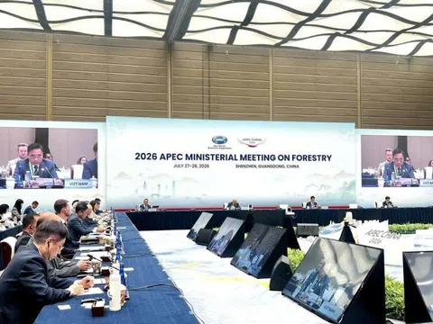 Việt Nam cùng APEC kiến tạo tương lai xanh từ quản trị rừng bền vững