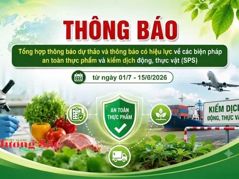 Văn phòng SPS Việt Nam cảnh báo 51 quy định mới có thể ảnh hưởng xuất khẩu nông, lâm, thủy sản