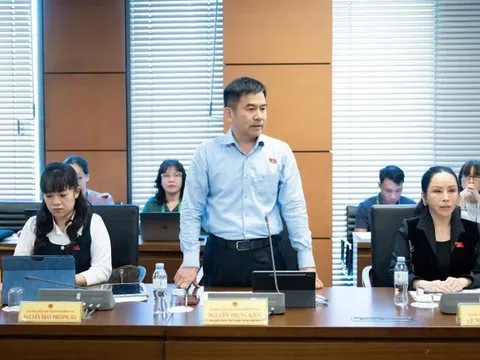Mua bán cây cảnh, lan đột biến giá trị lớn: Có dấu hiệu rửa tiền hay không?