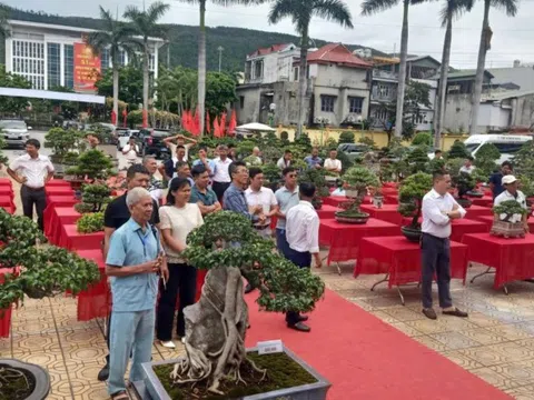Quảng Ninh: Nâng chất lượng “làm nghề” – nền tảng xây dựng thương hiệu sinh vật cảnh