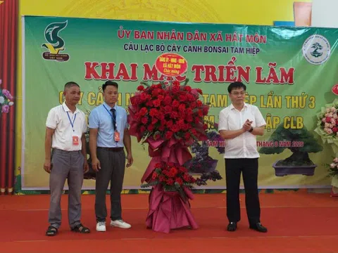 Gần 500 tác phẩm hội tụ tại triển lãm cây cảnh nghệ thuật Tam Hiệp