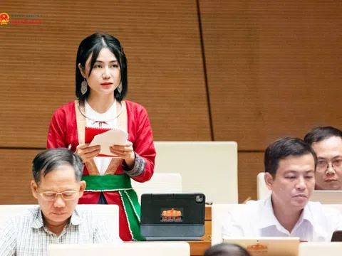 Từ giấy lưu hành phân bón đến thuốc BVTV xuất khẩu: Điểm nghẽn nhìn từ thị trường phân bón và thuốc BVTV