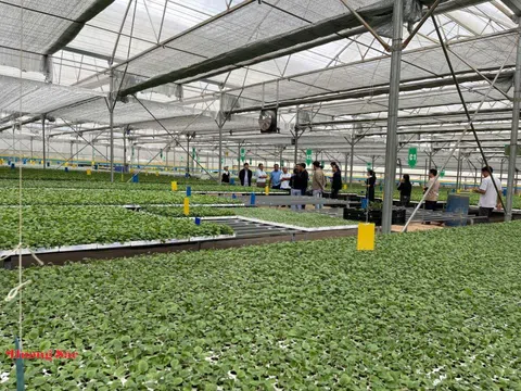 Sinh vật cảnh Hải Phòng trước cơ hội từ chính sách phát triển nông nghiệp hàng hóa