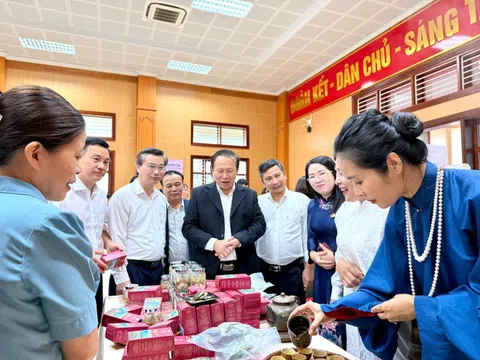 Sen Việt: Từ giá trị truyền thống đến ngành hàng đa giá trị