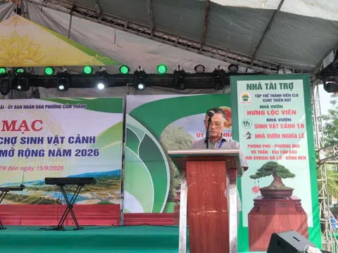 Hội chợ triển lãm Sinh vật cảnh Quảng Ngãi mở rộng 2026: Dấu ấn xã hội hóa và sức lan tỏa của phong trào