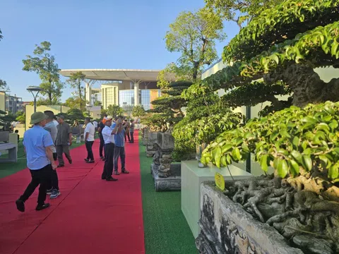 Hội tụ tinh hoa bonsai và suiseki trong ASPAC -18 tại thành phố Bắc Ninh