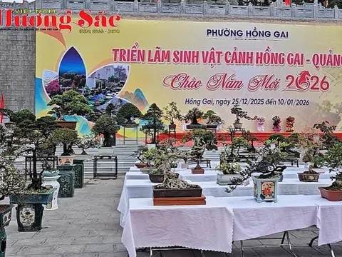 Triển lãm Sinh vật cảnh Hồng Gai (Quảng Ninh)