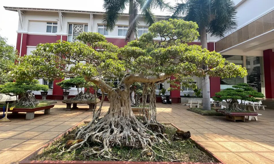 Kỳ 2: Bảo tồn sinh vật cảnh với hệ thực vật đa dang, phong phú