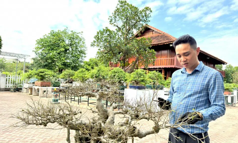 Anh Kim Văn Kiên và hành trình “lột xác” tác phẩm sanh quê cổ thụ
