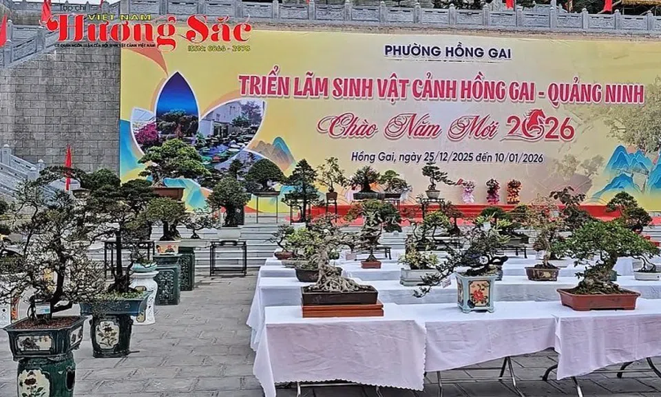Triển lãm Sinh vật cảnh Hồng Gai (Quảng Ninh)