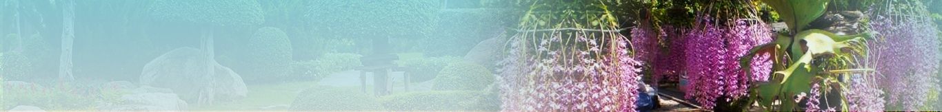 Header 2